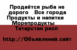 Продаётся рыба не дорого - Все города Продукты и напитки » Морепродукты   . Татарстан респ.